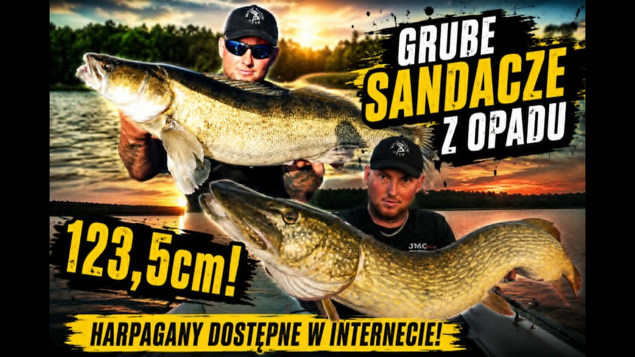 Hunting for monster zander. 123.5cm PIKE! Online store is now open!