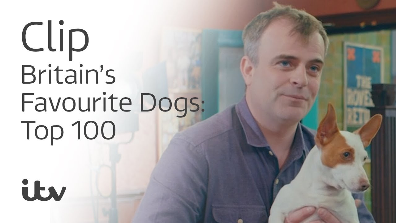 Britain's Favourite Dogs: Top 100  | Simon Gregson and His Jack Russell Cookie | ITV