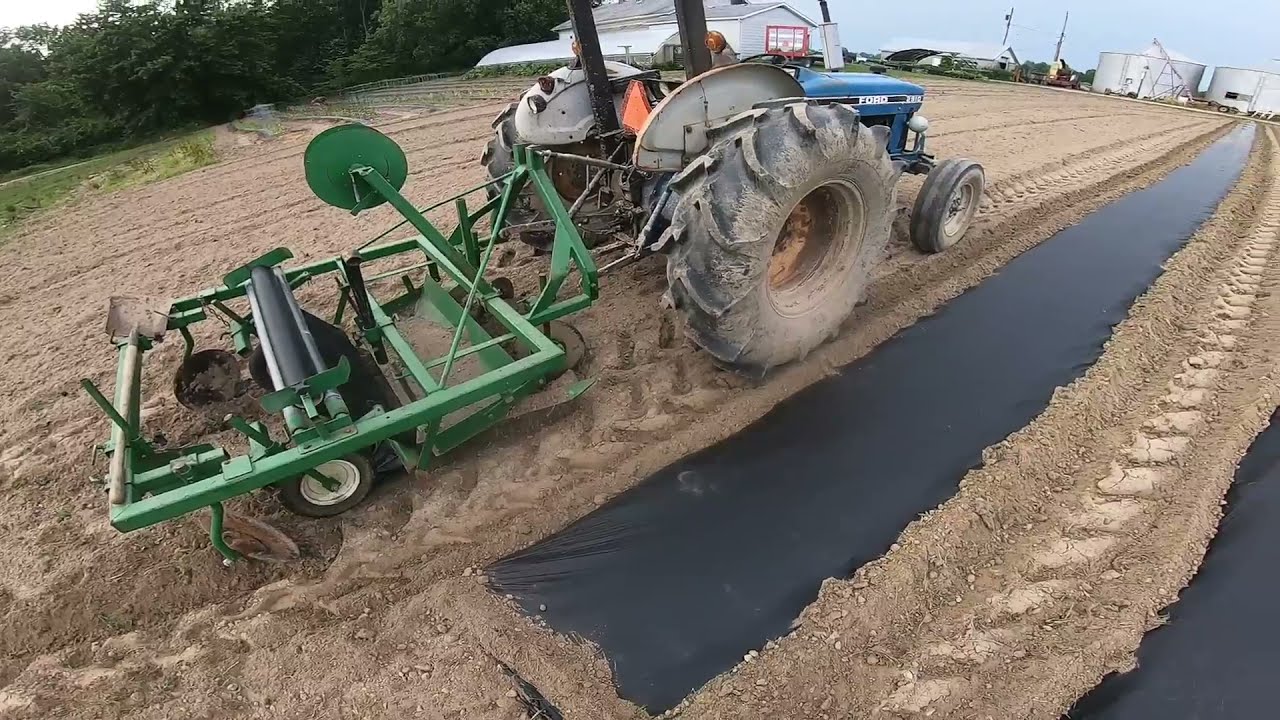 The Details of Laying Plastic for Vegetable Production