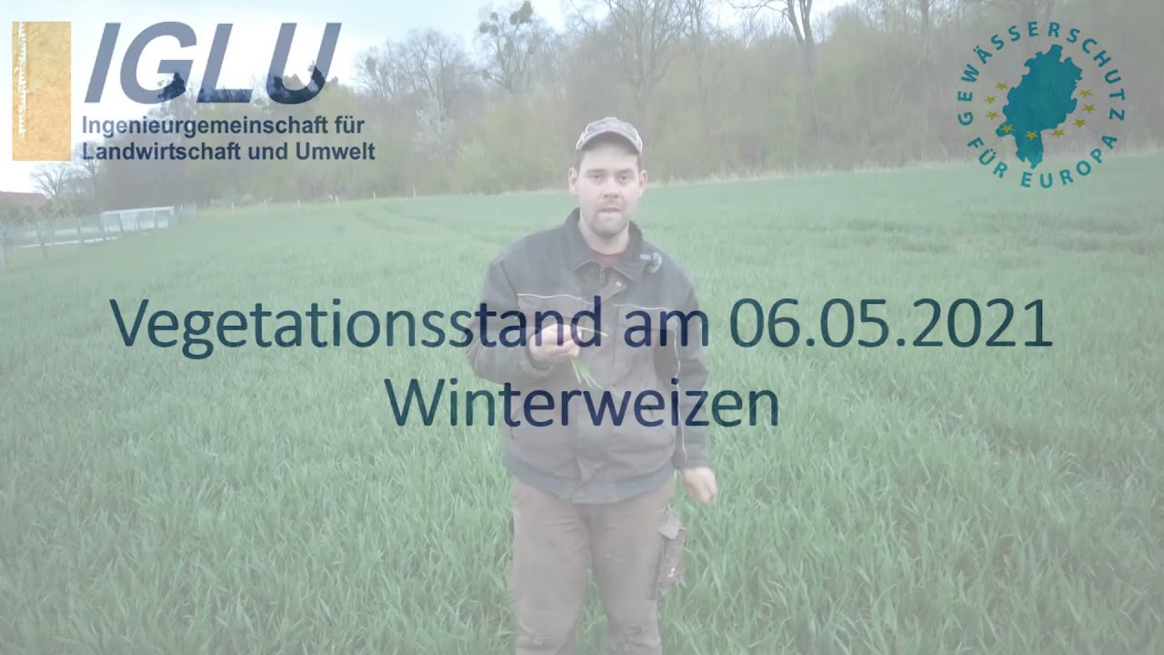 IGLU-Praxistipp: Vegetationsstand 06.05.2021