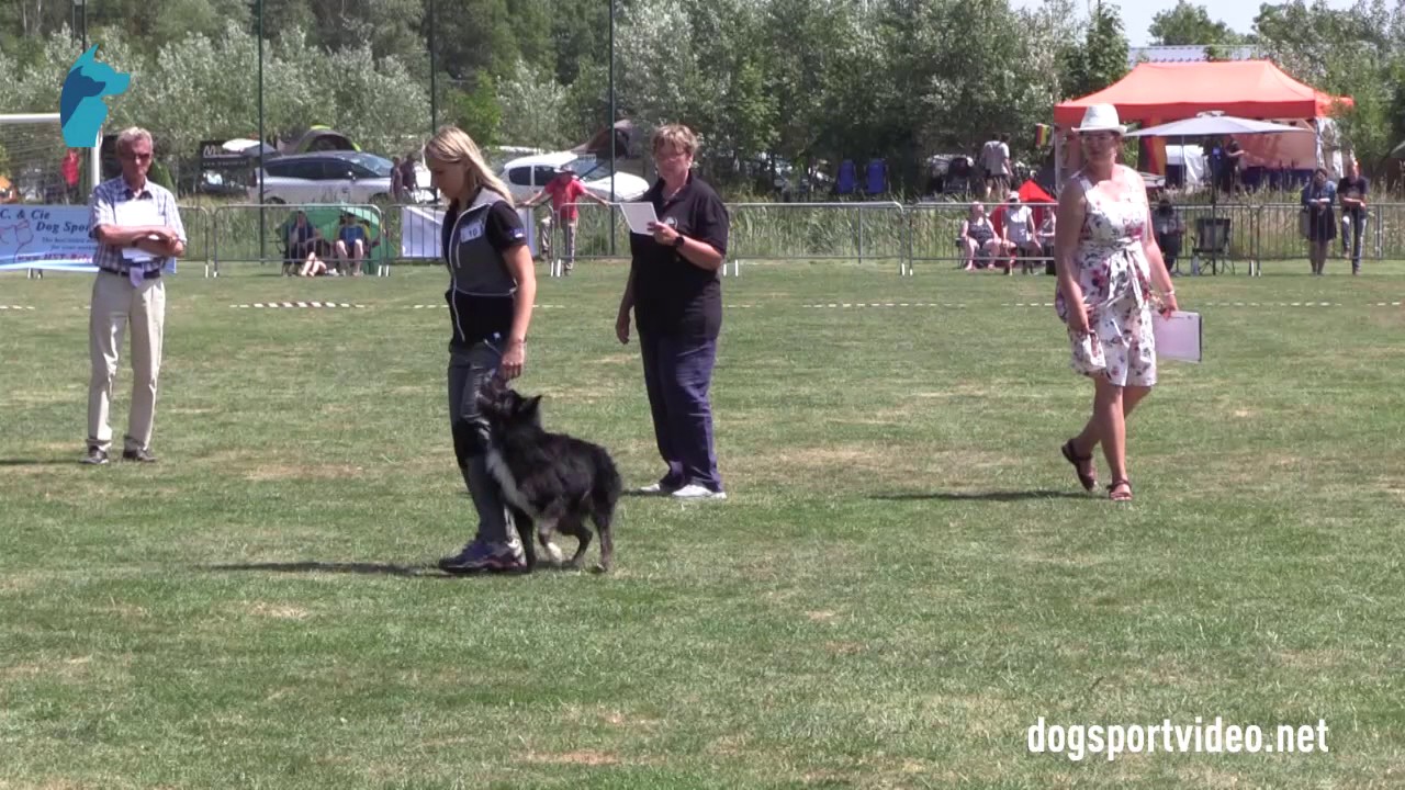 Finals - Valentina Balli + Mind the Dog Lycan