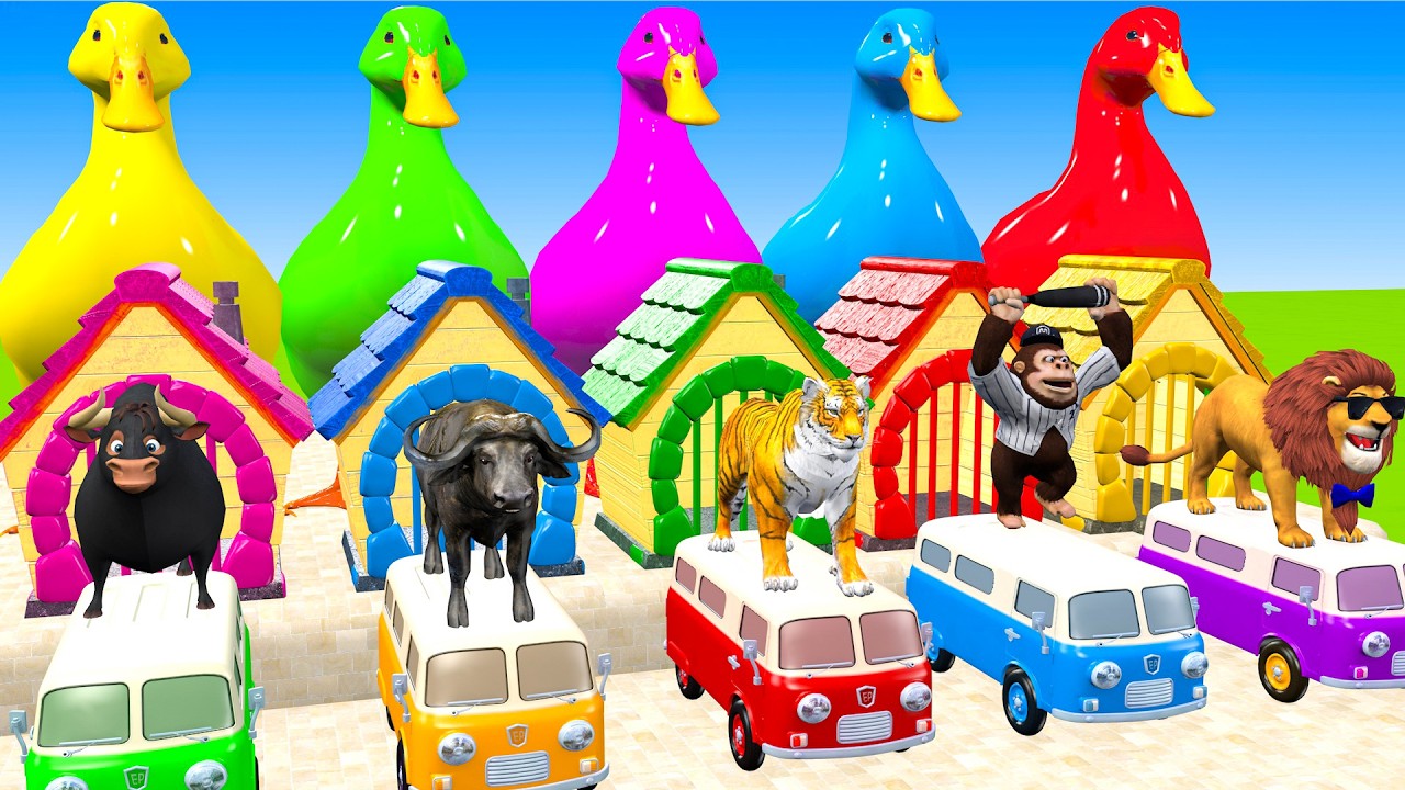 Long Slide Game With Cow Elephant Gorilla Hippopotamus Tiger 3d Animal Game Funny 3d Animals