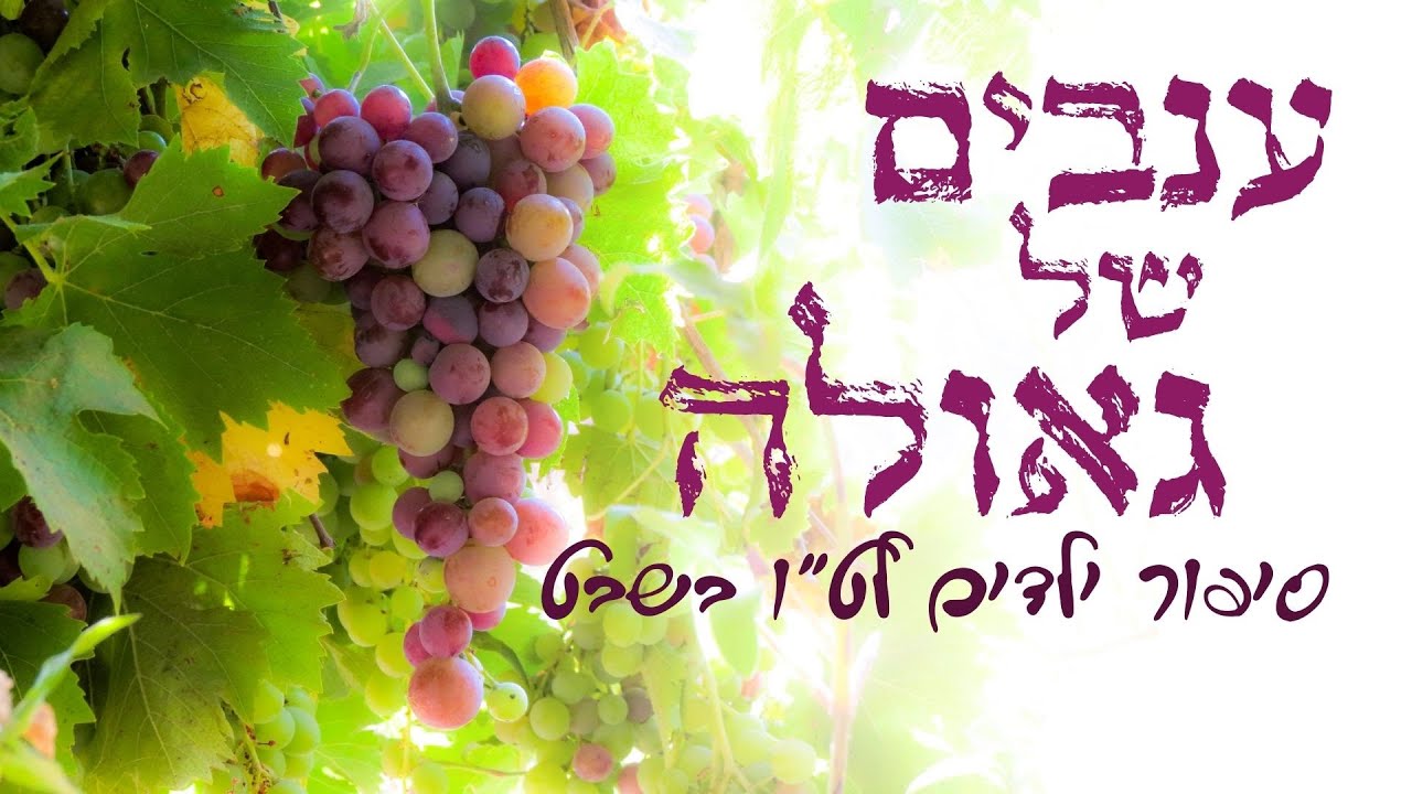 סדר ט