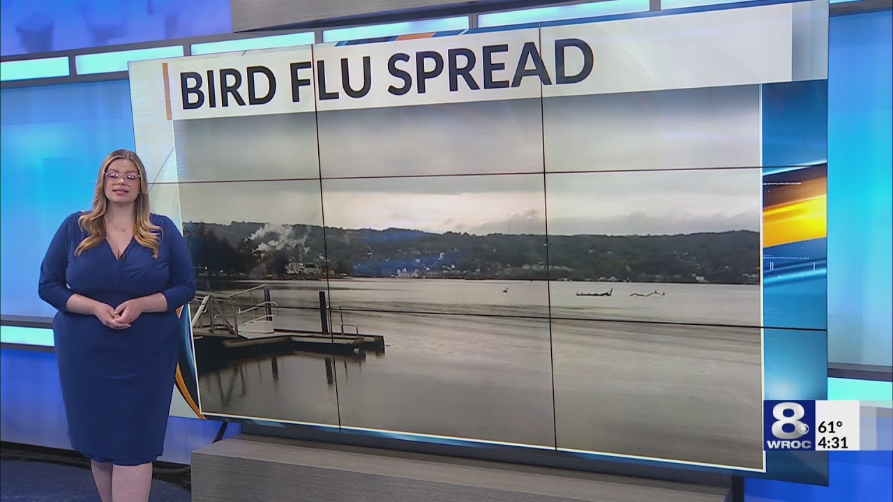 Bird Flu Spreads on Seneca Lake