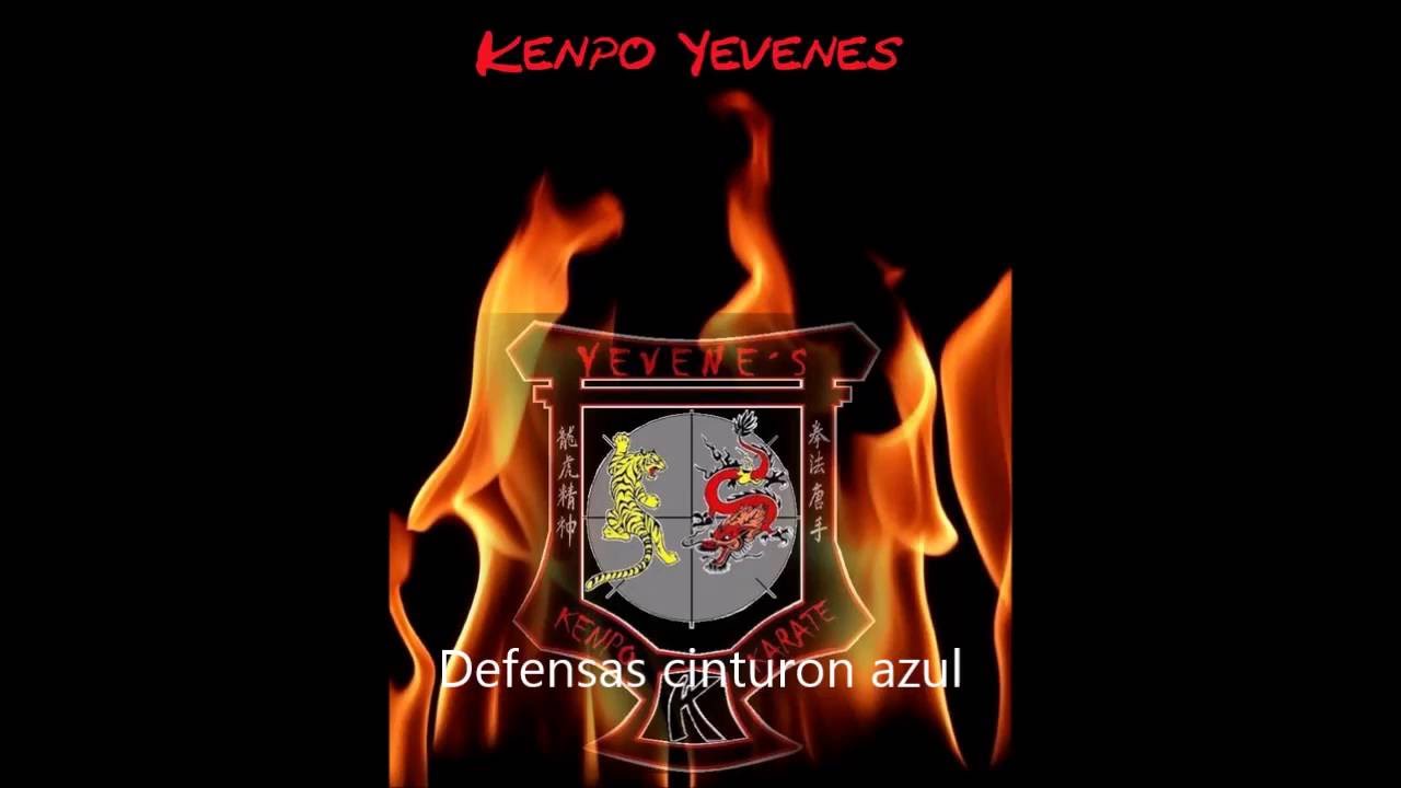 defensas cinturon azul