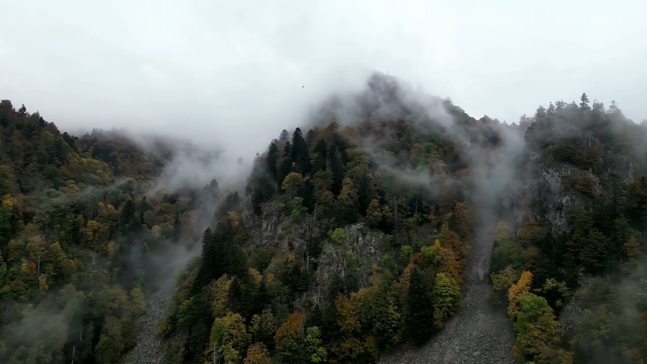 L'automne dans le massif des Vosges 🍁 2025