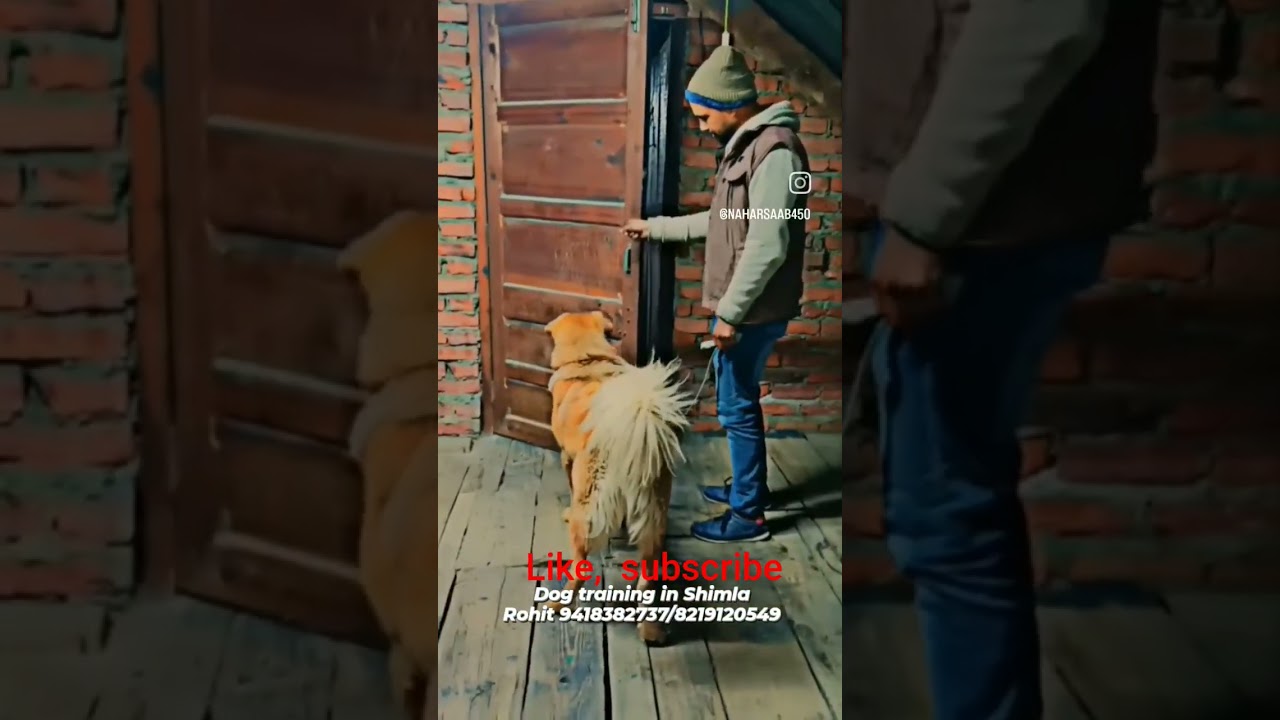 Close the door 