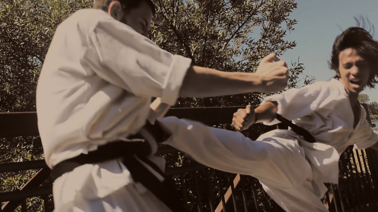 Black Belt Taekwondo/Karate Style Fight Scene