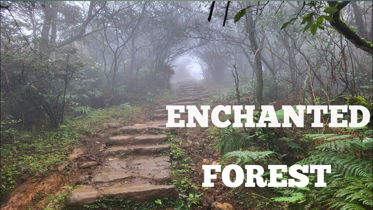 TAIWAN VLOG DAY 7: HIKING THE GRAND TAIPEI TRAIL/YANGMINGSHAN NATIONAL PARK