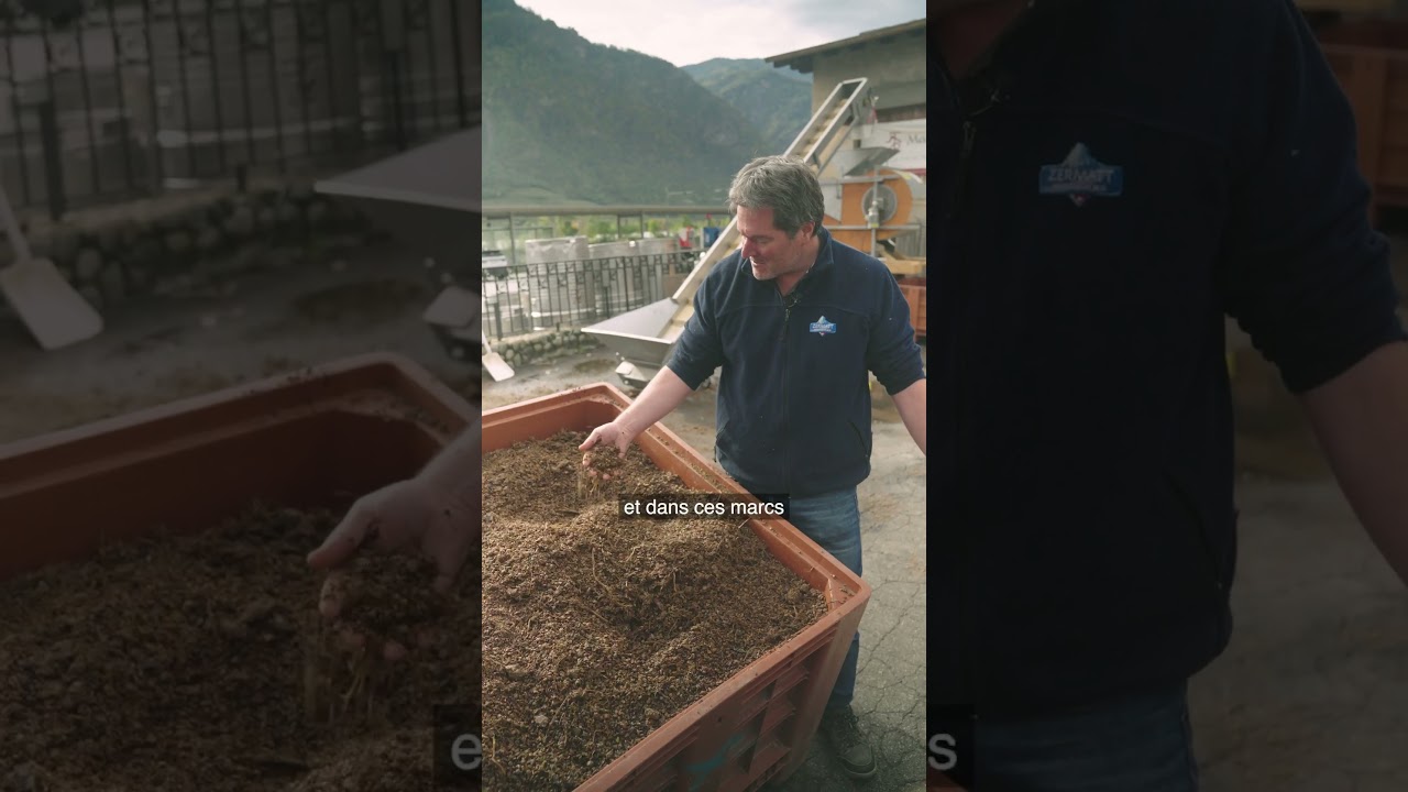 🌿✨ DE LA VIGNE &Agrave; L&rsquo;HUILE, UN SAVOIR-FAIRE UNIQUE ! 🍇🥄
