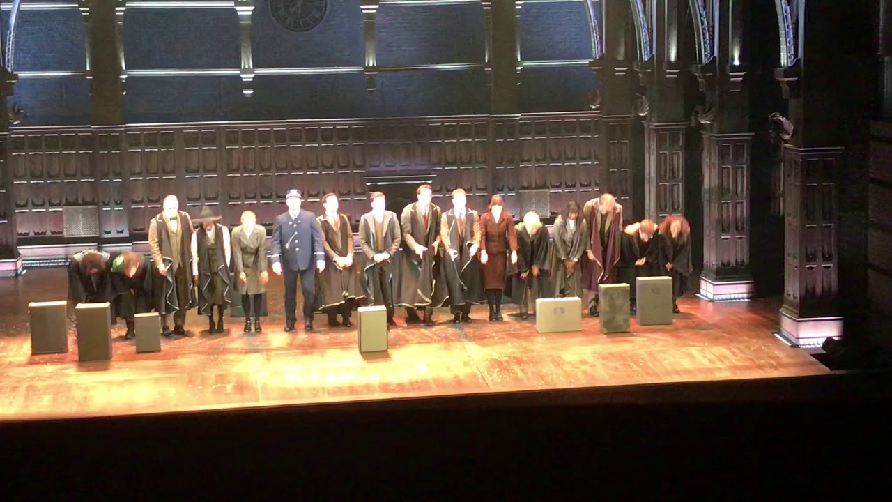 Cursed Child bows: John Skelley&rsquo;s debut as Harry Potter