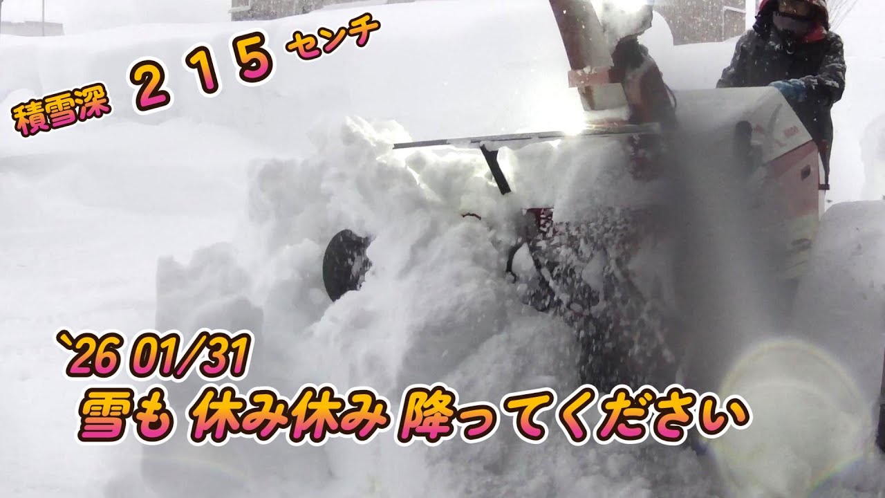 【雪も休み休み降ってください】`26 01 31