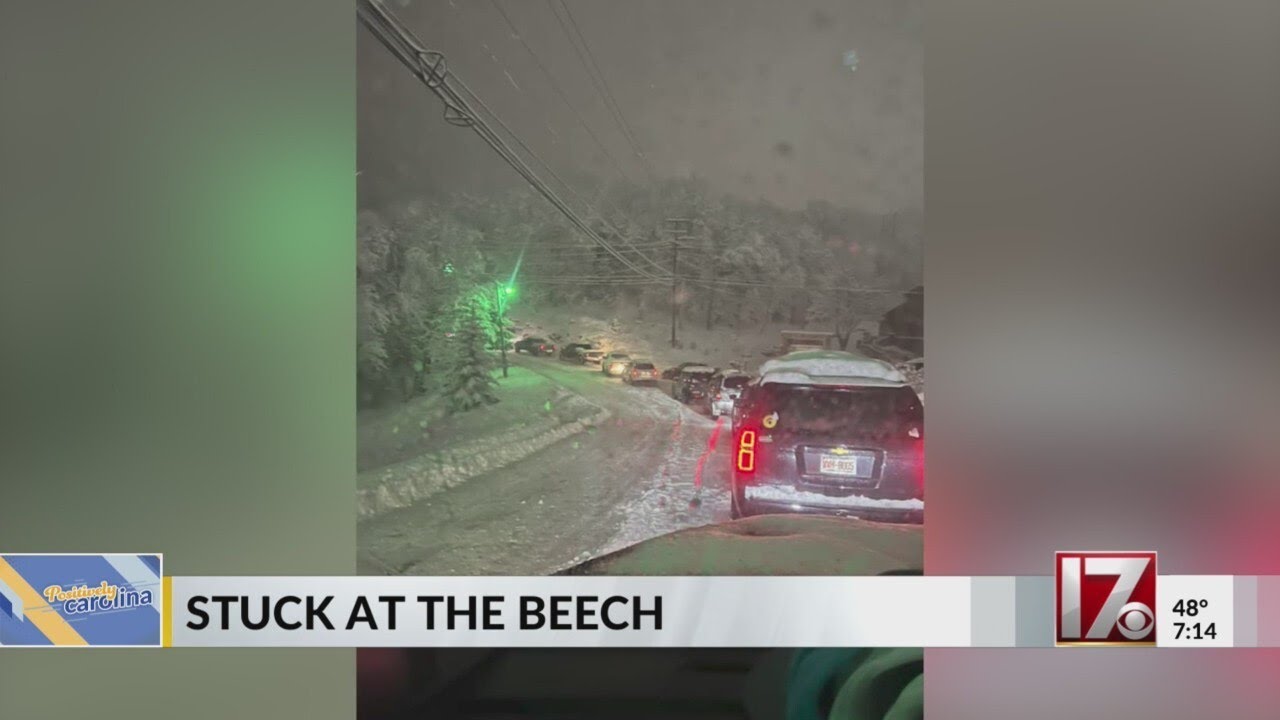 Stuck at the Beech