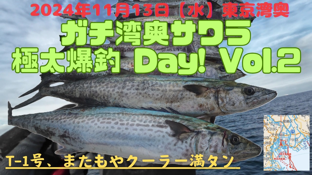 【東京湾サワラ】もう釣らなくていいよ！爆釣サワラキャスティング！20241113