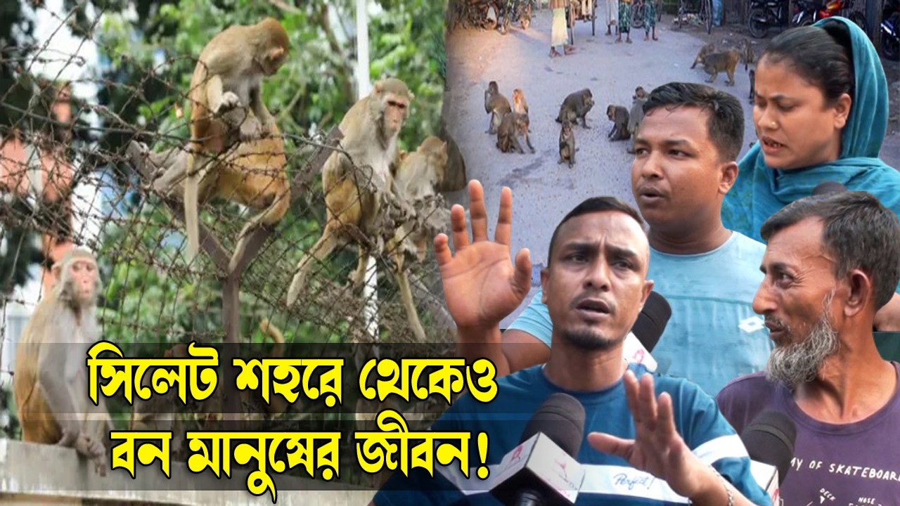 সিলেট শহরে থেকেও বন মানুষের মত জীবন তাদের! || Sylhet News || Sylhet City ||  banor || Banglaviewtv