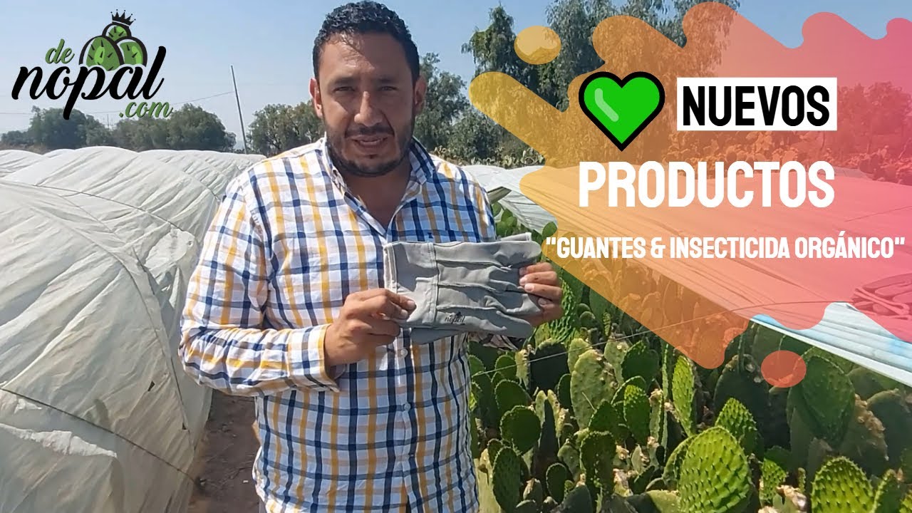 💚RIFA de nuevos productos para NOPAL 2022 | Participa aquí 👇