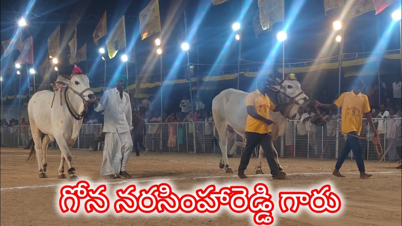 చిలకలూరిపేట న్యూ కేటగిరి 4వ గోన. నరసింహారెడ్డి గారు కోట కందుకూరు గ్రామం నంద్యాల జిల్లా 
