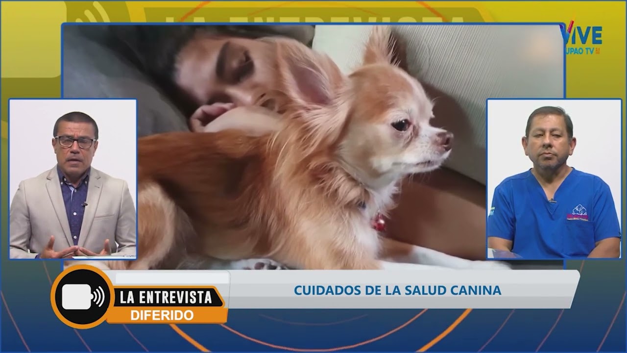 La Entrevista: Cuidados de la salud canina.