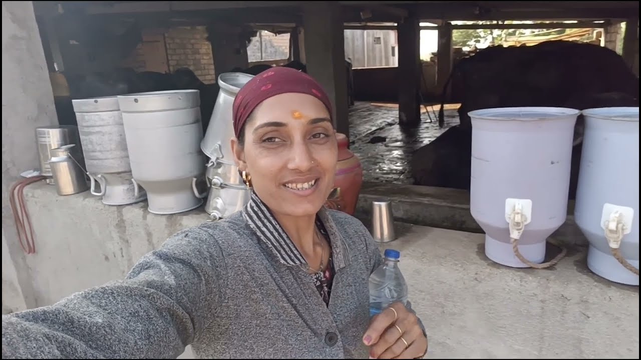 રાત અને દિવસ કામમાં સરખા થયા