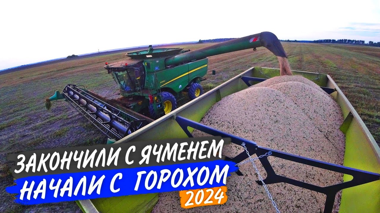 🌾На ГОРОХЕ пыли много, а УРОЖАЯ мало. Забили молотилку на РСМ-161 и John Deere S660.