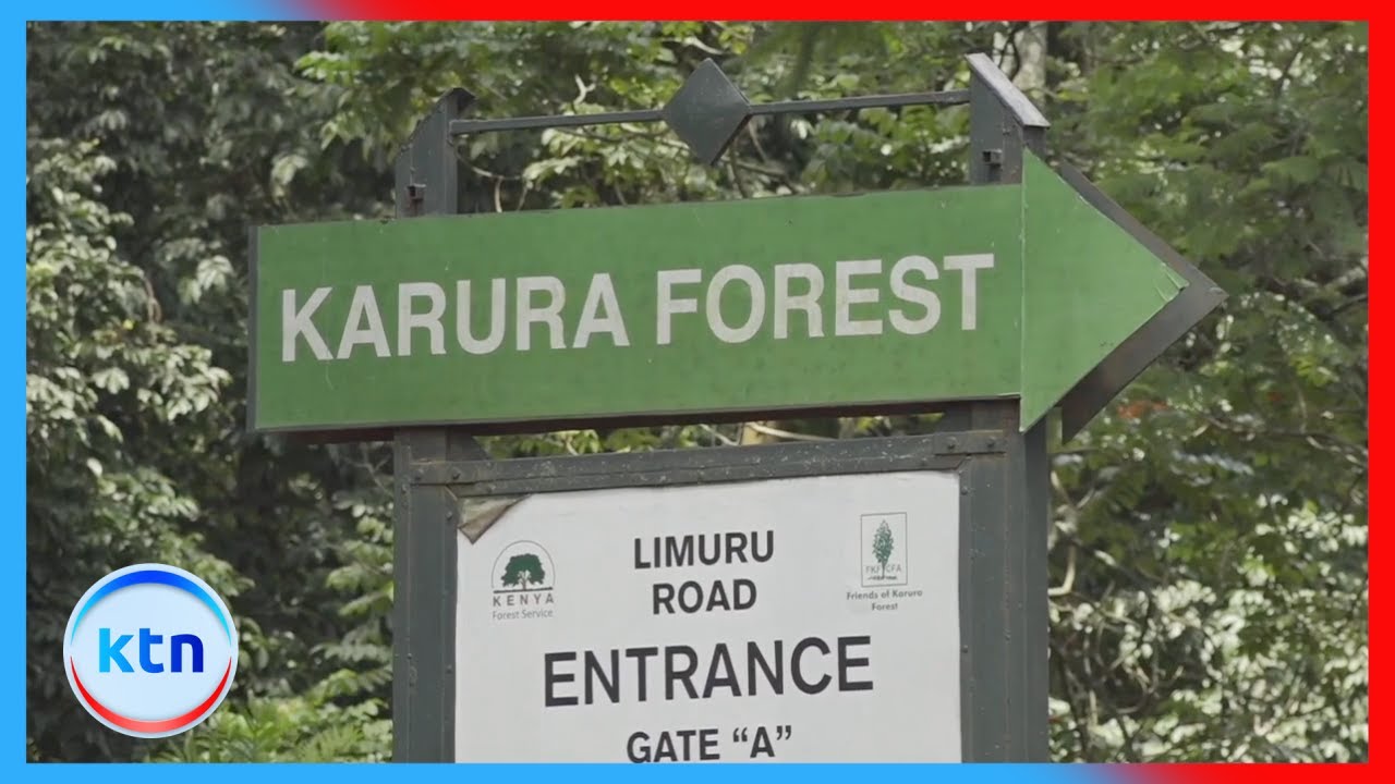 EACC reclaims 7.1 Hectares of grabbed Karura Forest land