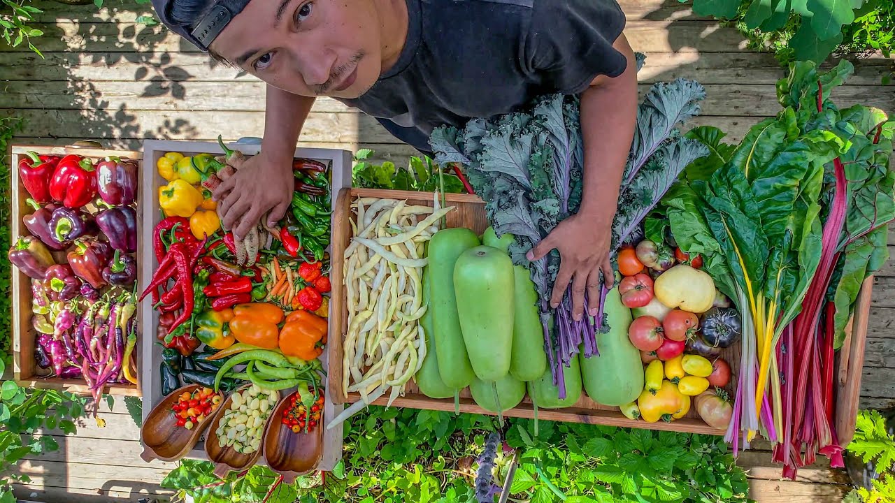 Don’t skip this if you love tomatoes and peppers! Sharing our September Bounty