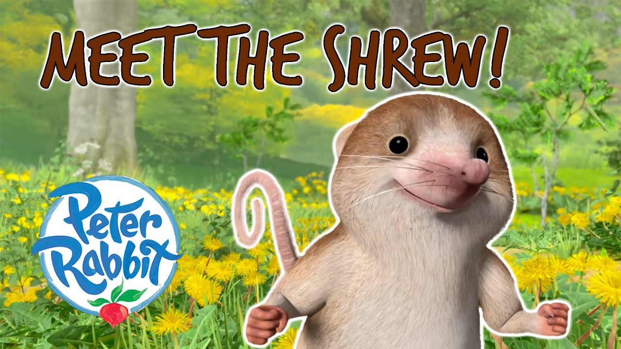 @OfficialPeterRabbit - Meet The Shrew! | Meet the Characters | Cartoons for Kids