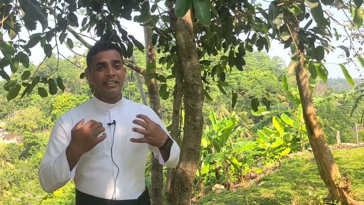 12th Of February - Wednesday , Reflection - Sinhala
