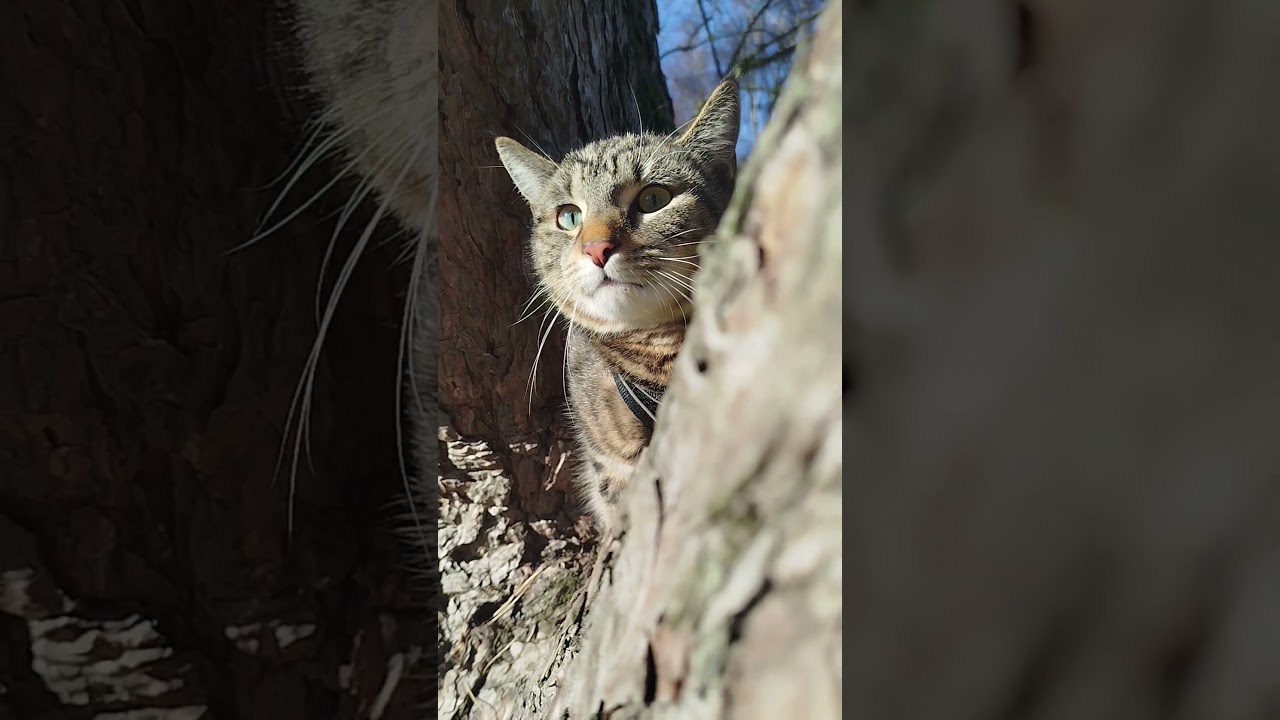 Je vous souhaite à tous amour et bonheur♥️🙏