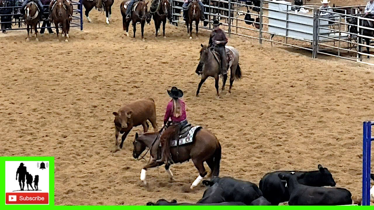 Cutting Horses Class 3 Open Set 1 - 2020 Metallic Cat West Texas Futurity