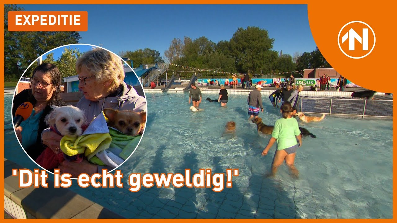 GEWELDIG! Zwembad Winsum gaat nog 1 dag open voor HONDENZWEMMEN