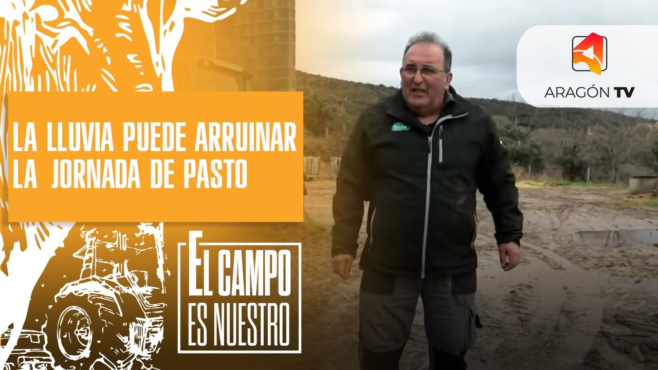 La lluvia puede arruinar la jornada de pasto del rebaño