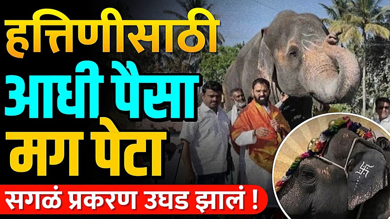 हत्तीण पेटा ने की पैशांनी नेली ? | वास्तव जाणून घ्या ? | By Ashish Magar sir 