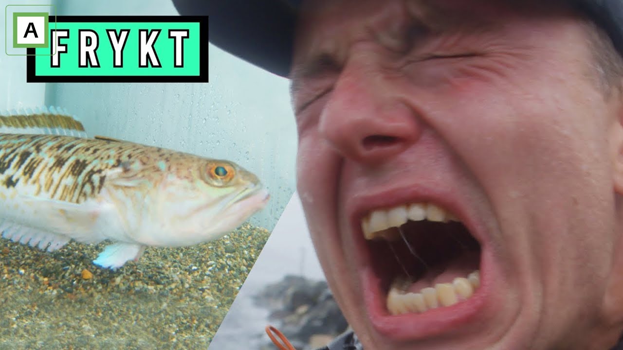 Kan en fisk gjøre SÅ vondt?! -  NRK
