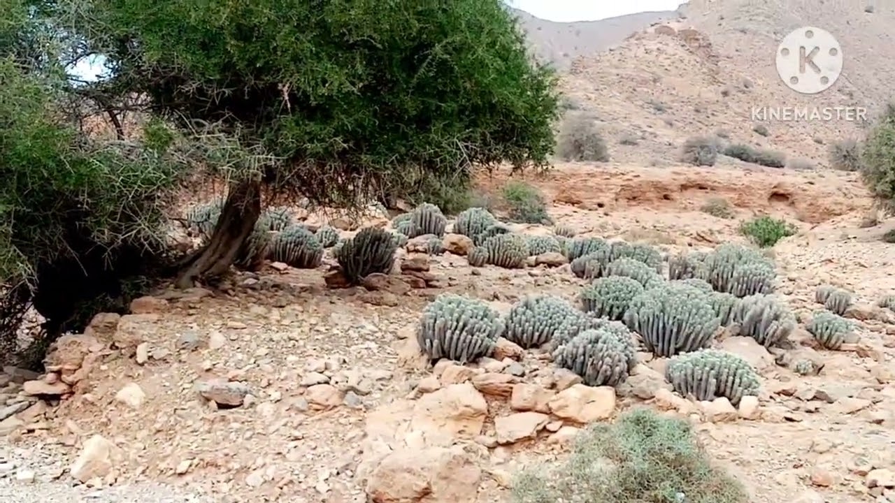 الفيديو ديال الطبي💞💞💞🌹🌹👍👍👍😍