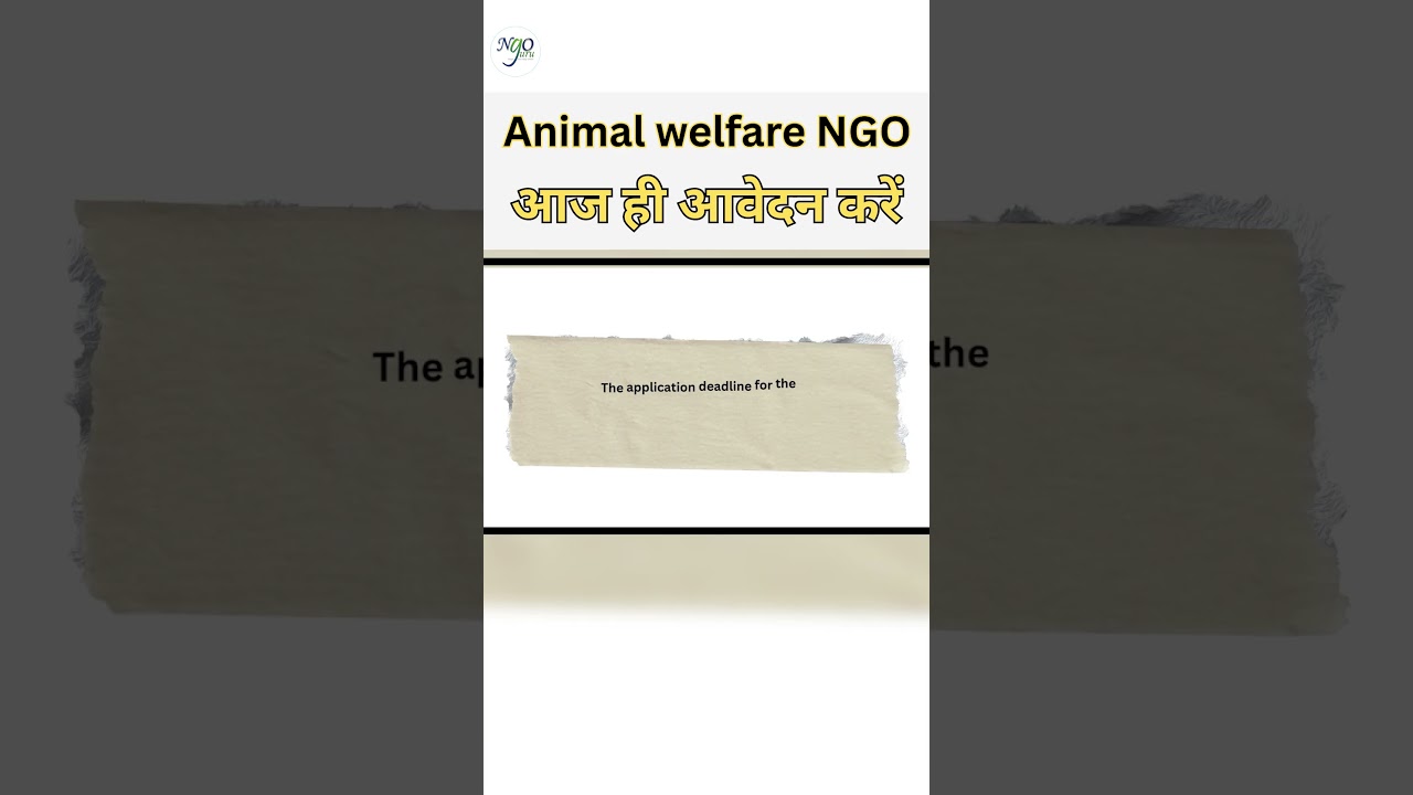 FUNDING OPPORTUNITY FOR ANIMAL WELFARE NGOs