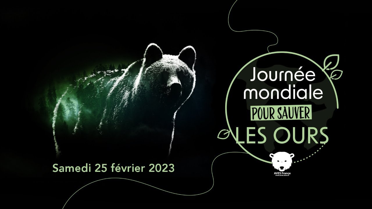 Journée mondiale pour sauver les Ours 2023 : les conférences.