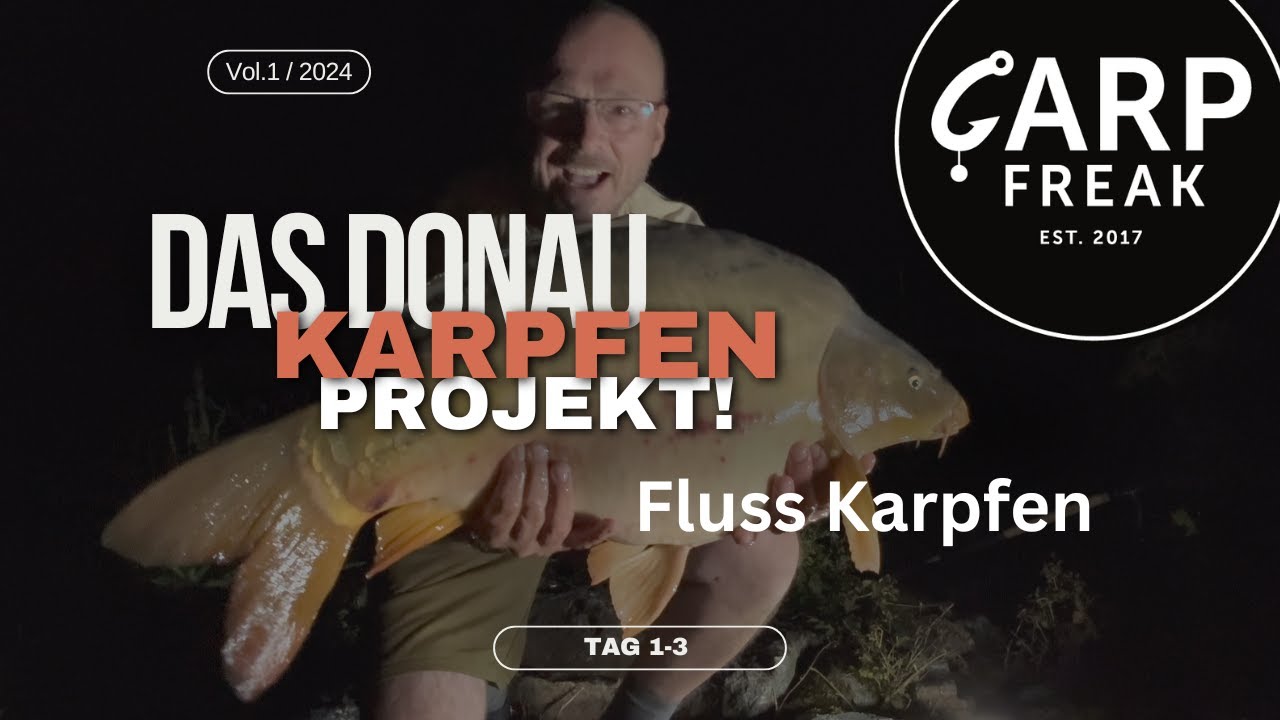 Angeln auf Fluss Karpfen direkt am  Donau Hauptstrom  Tag 1-3 Carp Freak !