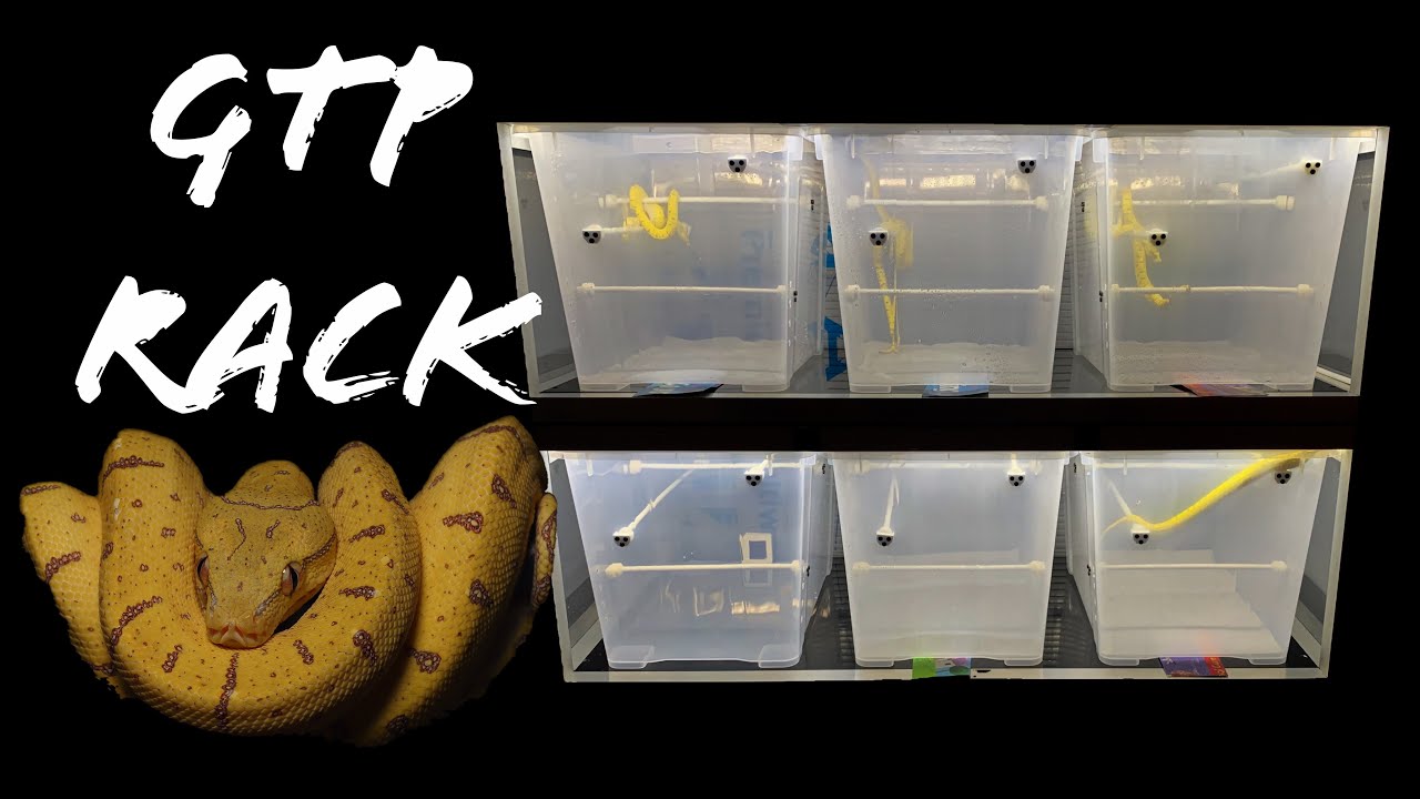DIY Demo: Green Tree Python Rack System