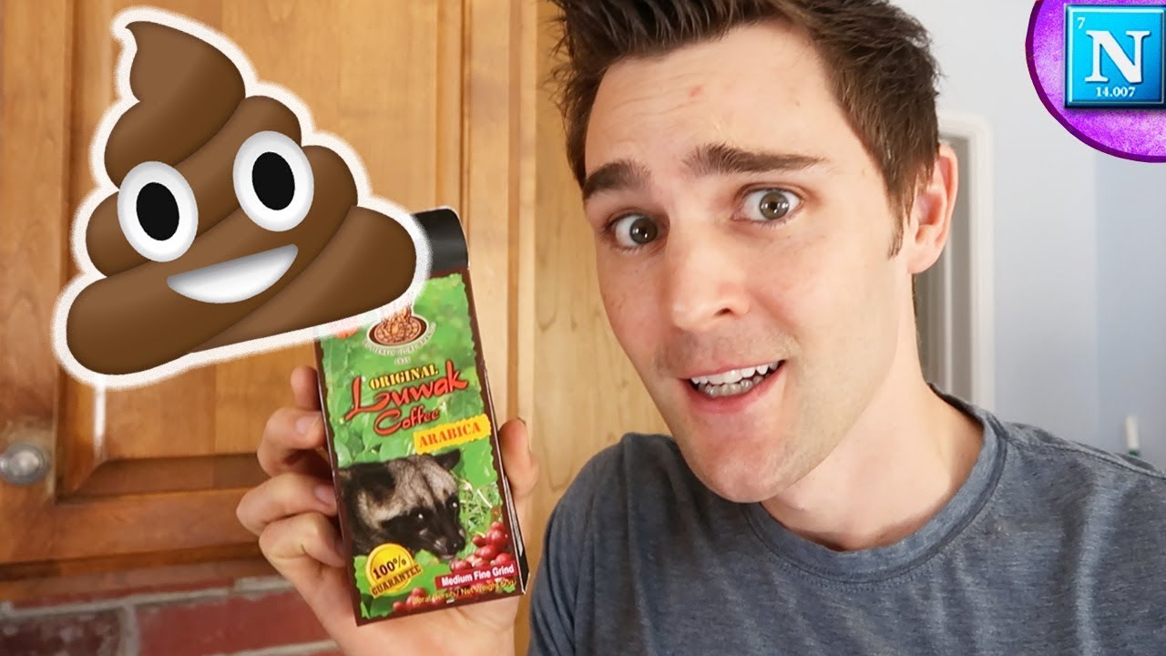 What Is Kopi Luwak: Science Of 