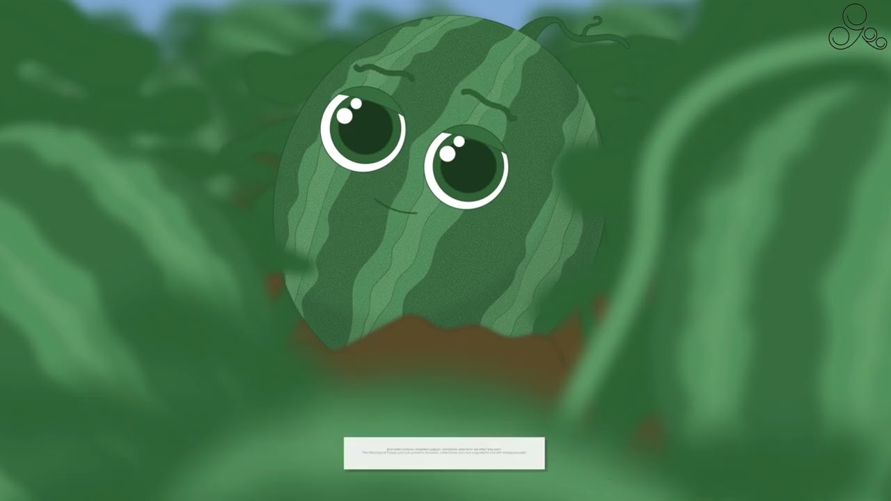 Karpuz 🍉