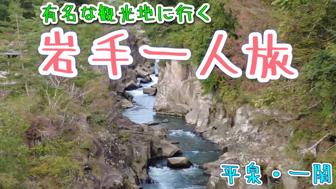 【岩手平泉一ノ関旅行】１泊2日一人旅〜電車とバスだけで有名な観光地を周る旅〜