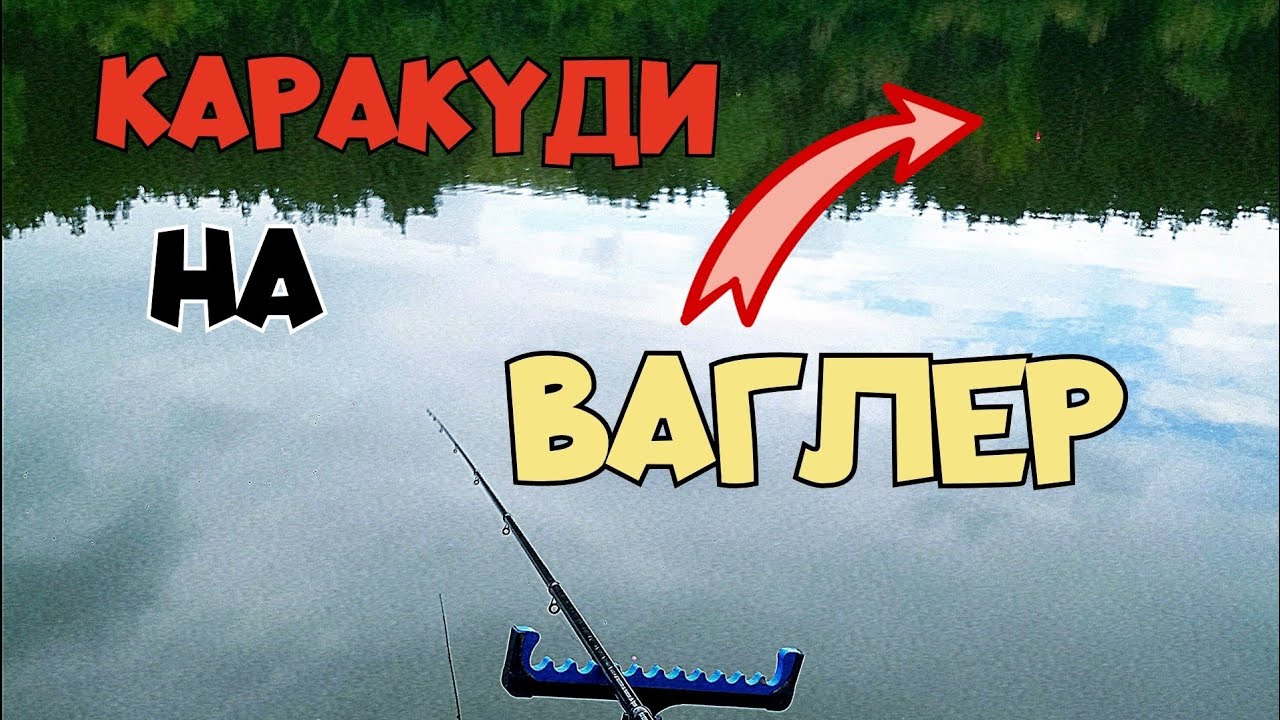 ЗА КАРАКУДИ НА МАЧ С ВАГЛЕР! БОНУС ШАРАНИ