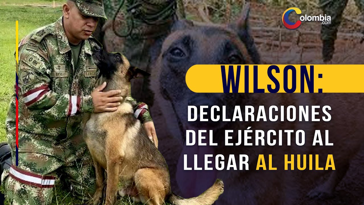 Ejército Nacional fue a Huila por el perro Wilson y esto fue lo que se encontraron