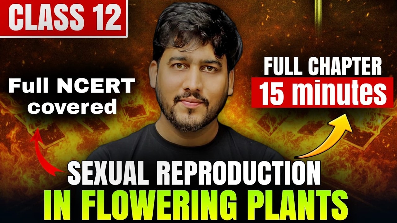 Sexual Reproduction in Flowering Plants One Shot in 15 Minutes | Quick Revision | Class 12 Biology