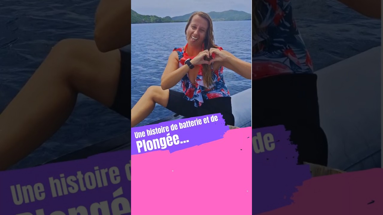 🟪 Plong&eacute;e sous-marine en France - ffessm - fsgt - padi - ssi