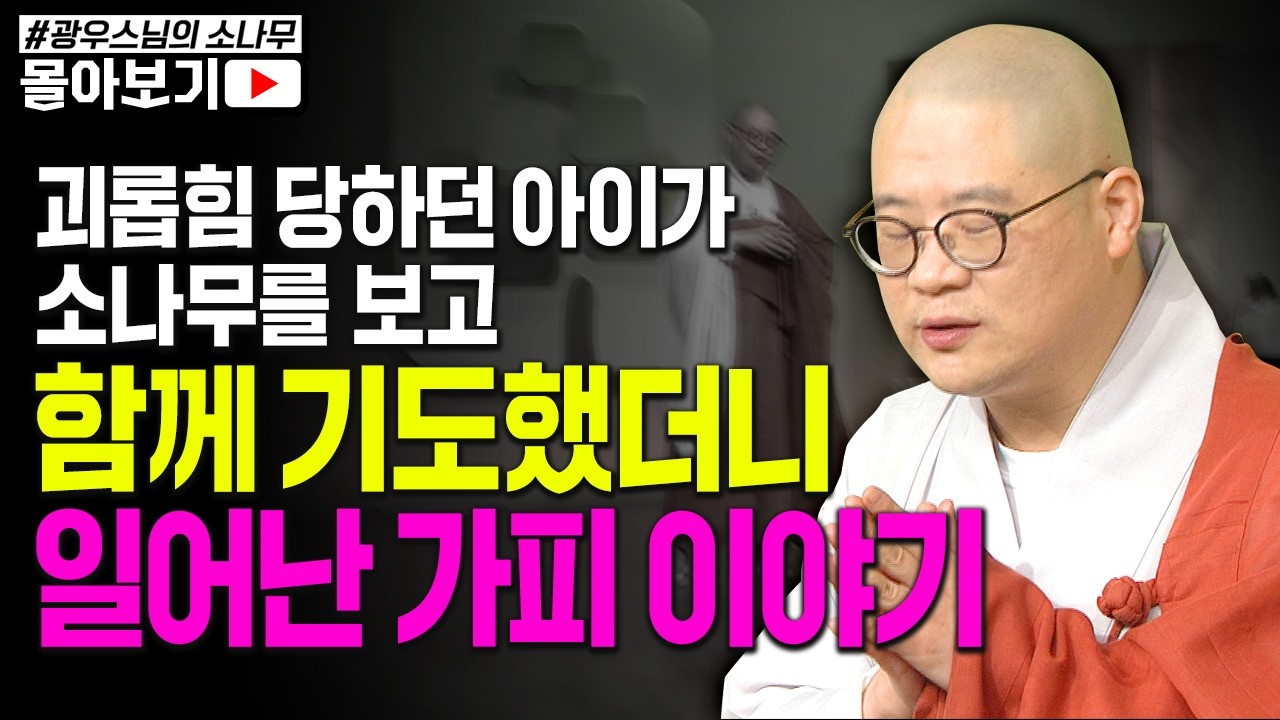 괴롭힘 당하던 아이가 소나무를 보고 함께 기도 했습니다.. 그랬더니! [초심으로 돌아가는 광우스님의 소나무 시즌3 몰아보기]