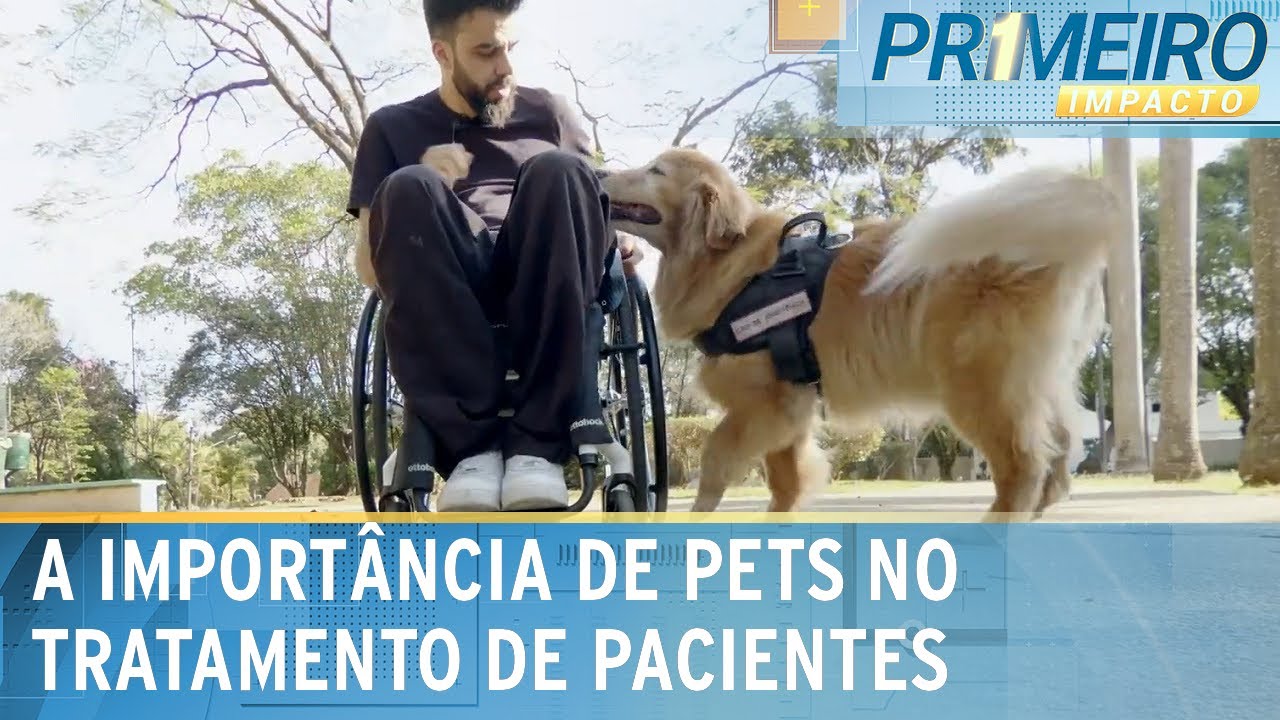 Faz parte da família: paratleta tem ajuda de “escudeira” em tarefas | Primeiro Impacto (31/08/23)