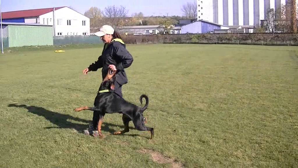 Ria 11 months