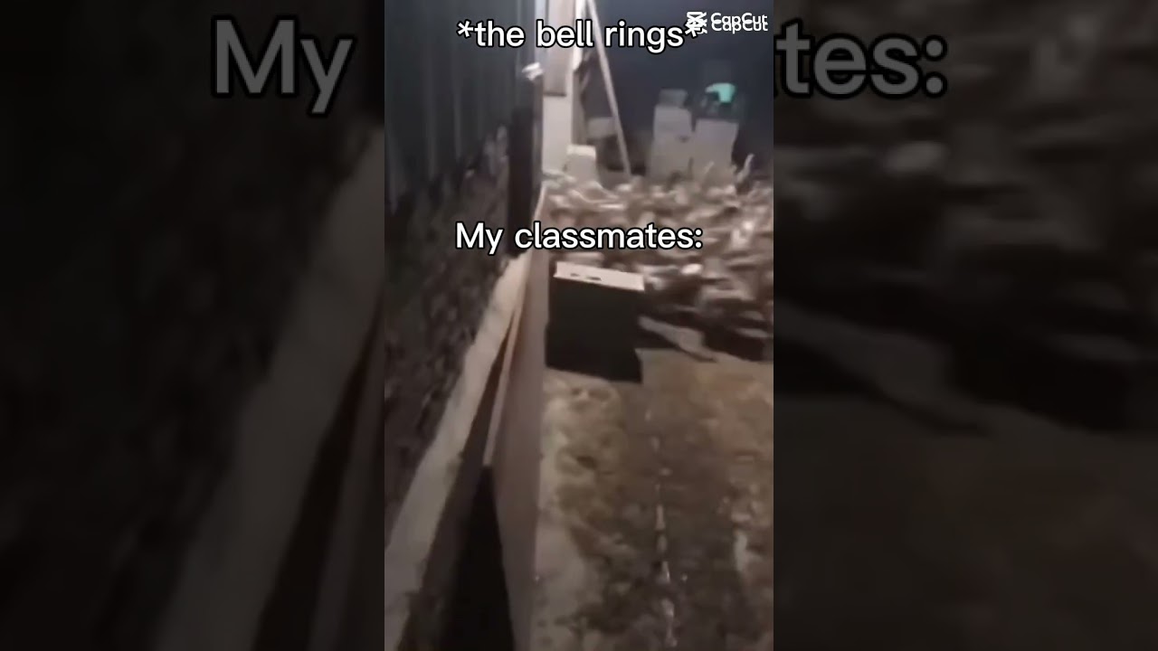 lol #memes #funny #school #bell #lol